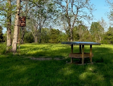 1634 Acre Ranch Retreat Mountain Views For Sale in Harrison - image 16
