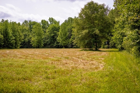 455 Acres for Sale Hunting Land in Claiborne County, MS - image 38