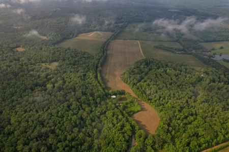 455 Acres for Sale Hunting Land in Claiborne County, MS - image 1