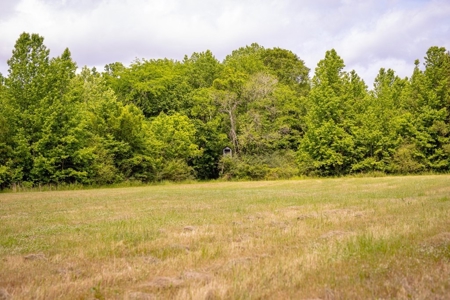 455 Acres for Sale Hunting Land in Claiborne County, MS - image 32