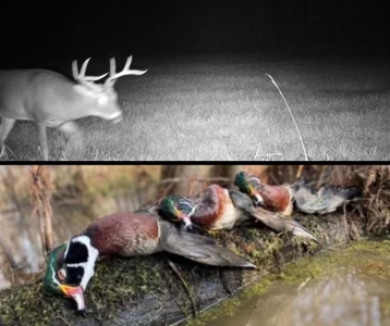 455 Acres for Sale Hunting Land in Claiborne County, MS - image 45
