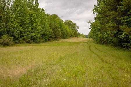 455 Acres for Sale Hunting Land in Claiborne County, MS - image 7