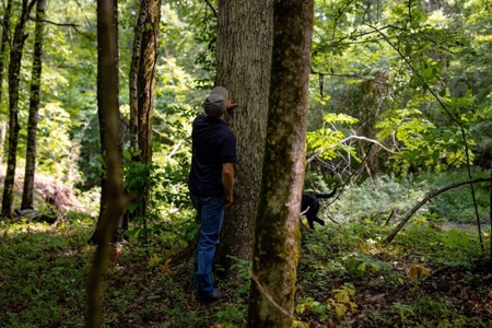 455 Acres for Sale Hunting Land in Claiborne County, MS - image 36