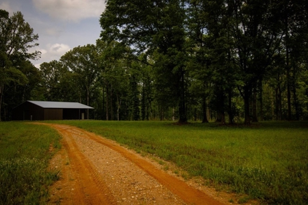 455 Acres for Sale Hunting Land in Claiborne County, MS - image 42