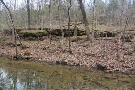 Hunting Land  Near Eureka Springs, Ar - image 20