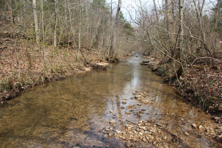 Hunting Land  Near Eureka Springs, Ar - image 11