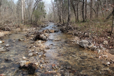 Hunting Land  Near Eureka Springs, Ar - image 15