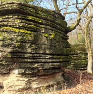 Hunting Land  Near Eureka Springs, Ar - image 10