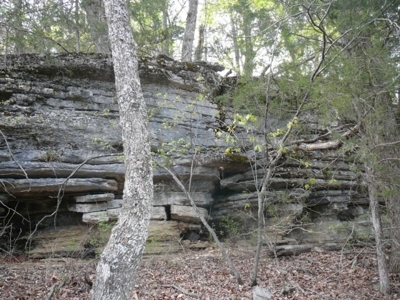 Hunting Land  Near Eureka Springs, Ar - image 8