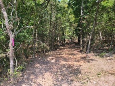 Hunting Land  Near Eureka Springs, Ar - image 21