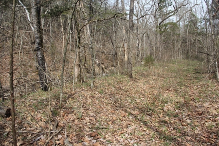 Hunting Land  Near Eureka Springs, Ar - image 12