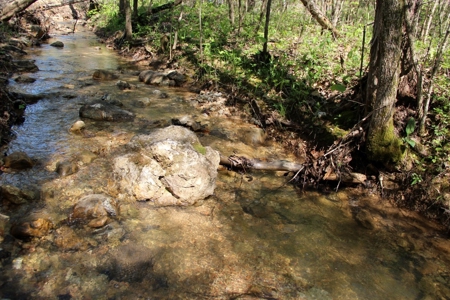 Hunting Land  Near Eureka Springs, Ar - image 4