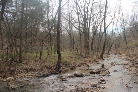 Hunting Land  Near Eureka Springs, Ar - image 17