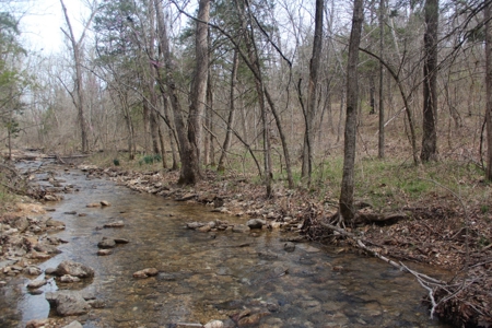 Hunting Land  Near Eureka Springs, Ar - image 18