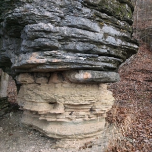 Hunting Land  Near Eureka Springs, Ar - image 9