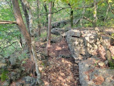 Hunting Land  Near Eureka Springs, Ar - image 26