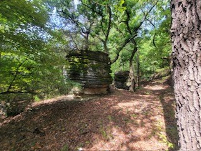Hunting Land  Near Eureka Springs, Ar - image 27