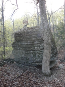 Hunting Land  Near Eureka Springs, Ar - image 6