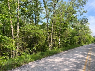 Hunting Land  Near Eureka Springs, Ar - image 1
