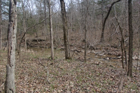 Hunting Land  Near Eureka Springs, Ar - image 19