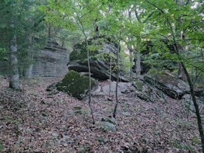 Hunting Land  Near Eureka Springs, Ar - image 23