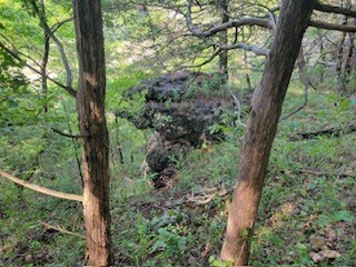 Hunting Land  Near Eureka Springs, Ar - image 25