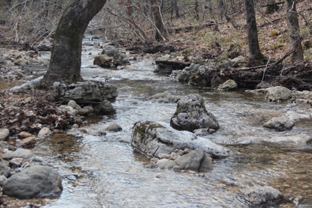 Hunting Land  Near Eureka Springs, Ar - image 14