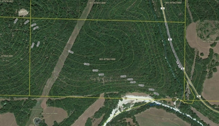 Hunting Land  Near Eureka Springs, Ar - image 5