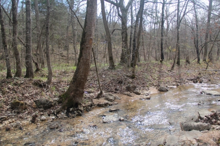 Hunting Land  Near Eureka Springs, Ar - image 16