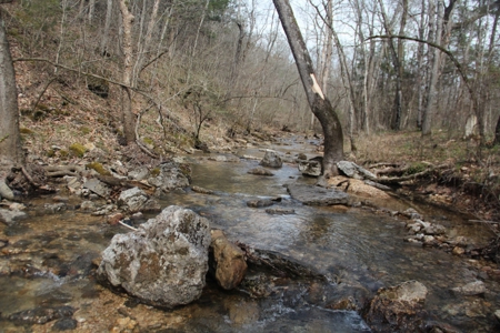 Hunting Land  Near Eureka Springs, Ar - image 13