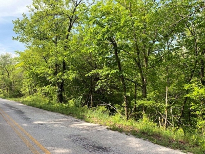 Hunting Land  Near Eureka Springs, Ar - image 2