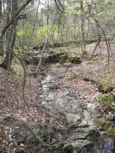Hunting Land  Near Eureka Springs, Ar - image 7