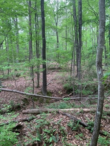 The Bluff Of Bluestone On Kerr Lake, VA - image 26