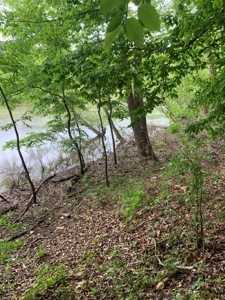 The Bluff Of Bluestone On Kerr Lake, VA - image 23