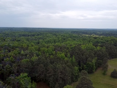 The Bluff Of Bluestone On Kerr Lake, VA - image 7