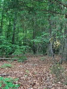 The Bluff Of Bluestone On Kerr Lake, VA - image 17