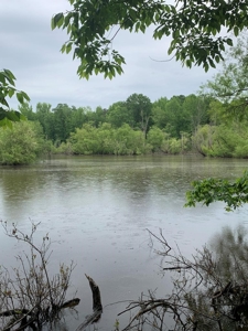 The Bluff Of Bluestone On Kerr Lake, VA - image 1