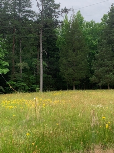 The Bluff Of Bluestone On Kerr Lake, VA - image 31