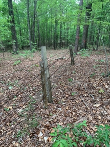 The Bluff Of Bluestone On Kerr Lake, VA - image 19