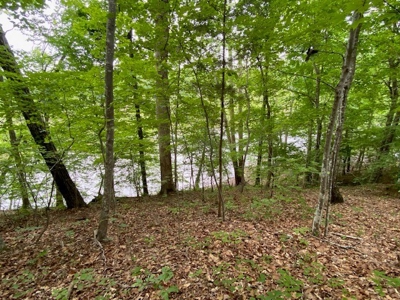 The Bluff Of Bluestone On Kerr Lake, VA - image 12