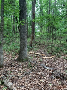 The Bluff Of Bluestone On Kerr Lake, VA - image 30