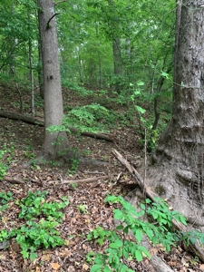 The Bluff Of Bluestone On Kerr Lake, VA - image 25