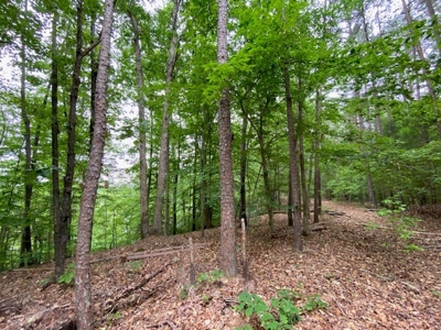 The Bluff Of Bluestone On Kerr Lake, VA - image 8