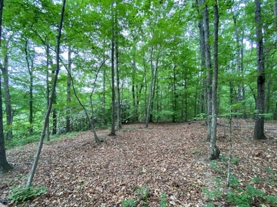 The Bluff Of Bluestone On Kerr Lake, VA - image 11
