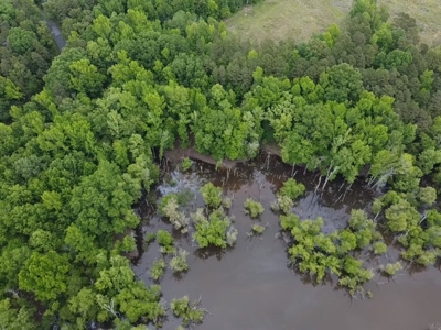 The Bluff Of Bluestone On Kerr Lake, VA - image 4