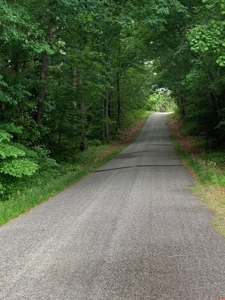 The Bluff Of Bluestone On Kerr Lake, VA - image 32