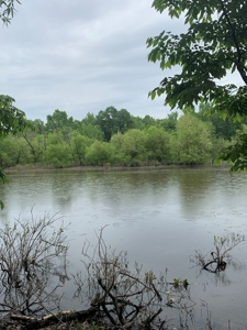 The Bluff Of Bluestone On Kerr Lake, VA - image 24