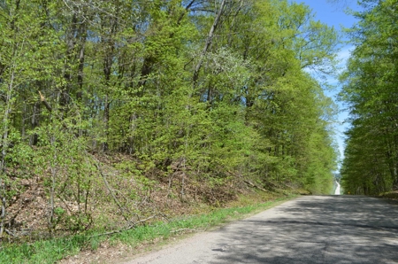 Quality wooded/hunting/building parcel Shawano County - image 45