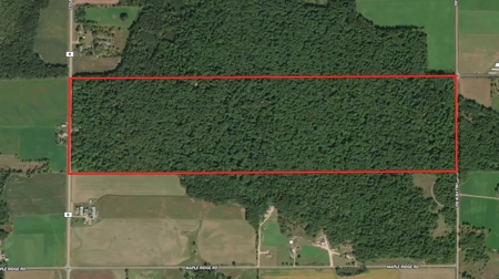 Quality wooded/hunting/building parcel Shawano County - image 48