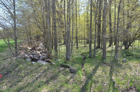 Quality wooded/hunting/building parcel Shawano County - image 41